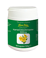 Oil of life Kæmpenatlysolie 1000 mg (90 kap)